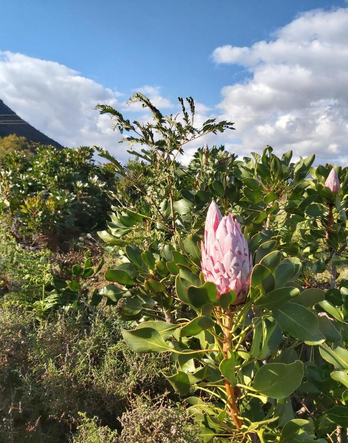 Apartamento Le Petit Bijou Franschhoek Exterior foto